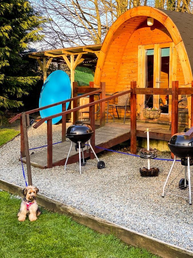 Log Cabin Kells  Exterior photo